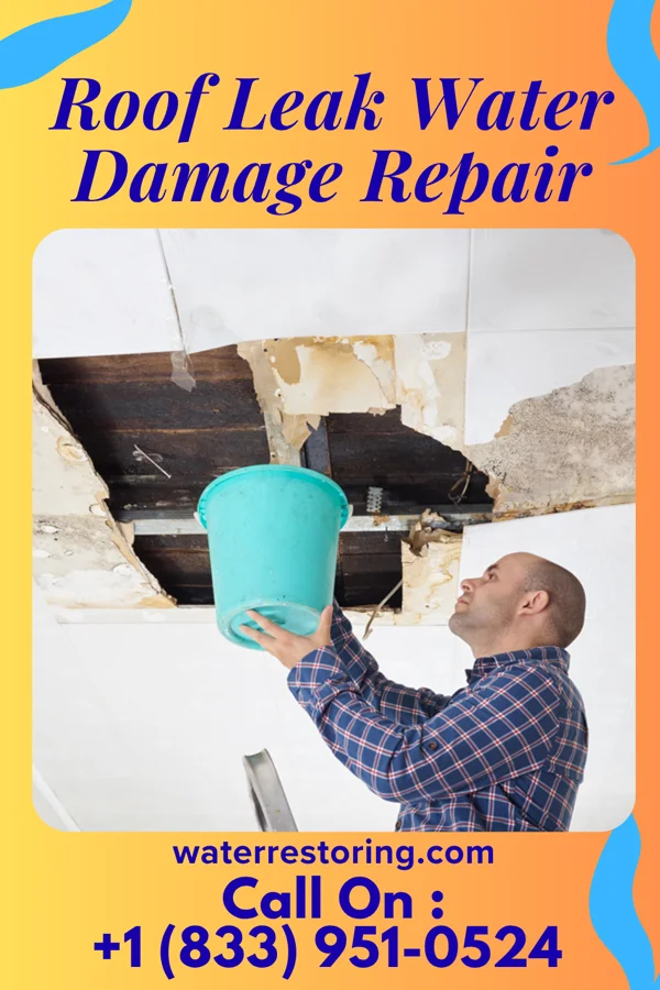 Roof Leak Water Damage Repair in El Quiote, TX