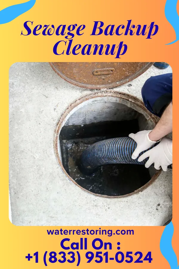 Sewage Backup Cleanup in El Quiote, TX